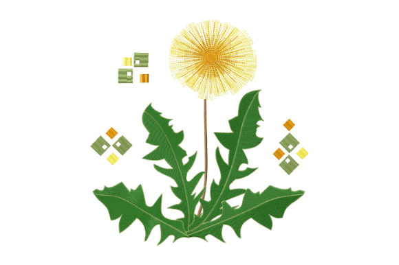 Spring Yellow Dandelion Review